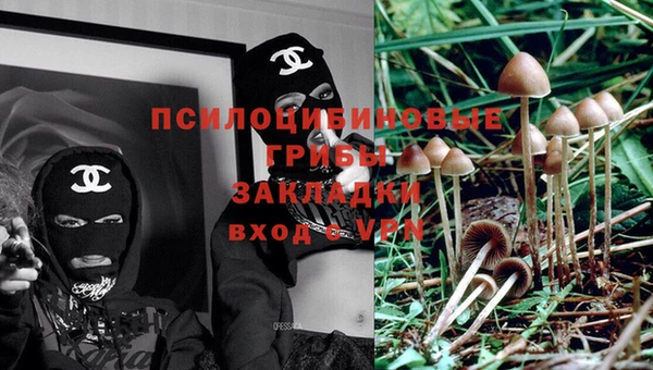 хмурый Белая Калитва