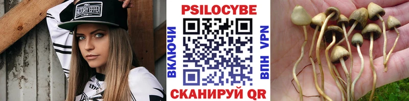 Псилоцибиновые грибы GOLDEN TEACHER  Болохово 